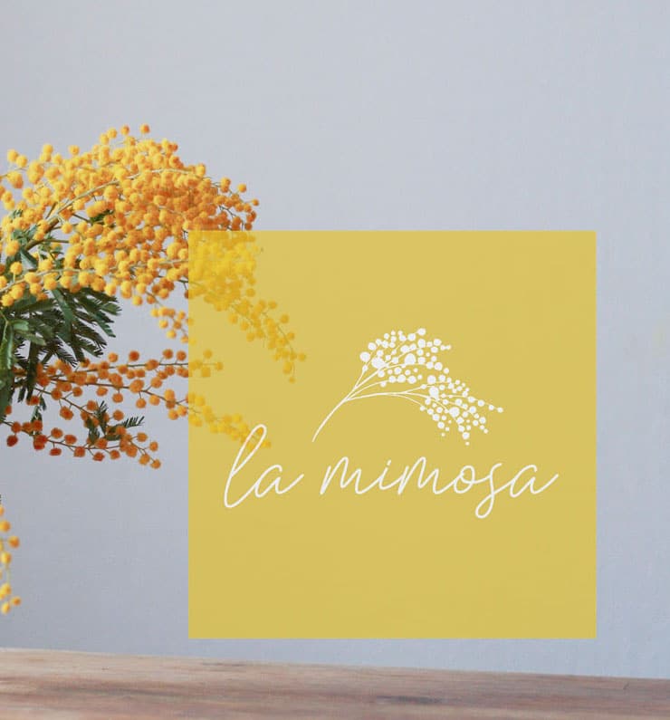La mimosa