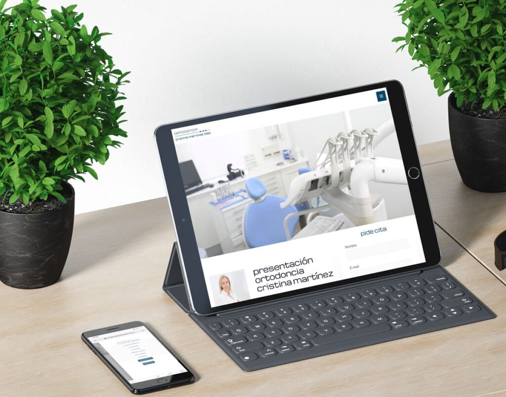 diseño wordpress madrid