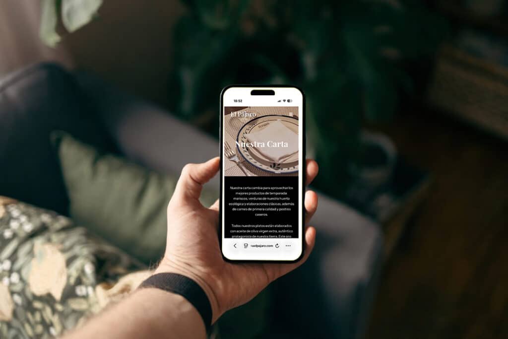 diseño web wordpress jaen